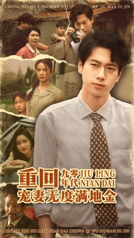 重回九零年代，寵妻無度滿地金