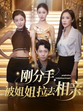 剛分手，被姐姐拉去相親